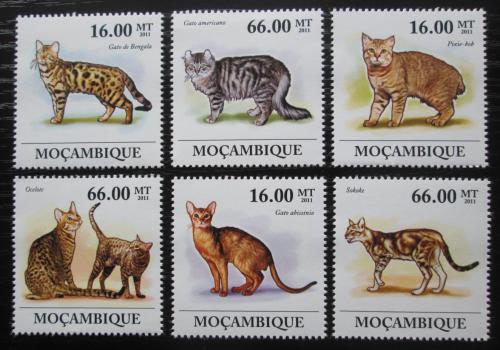 Poštovní známky Mosambik 2011 Koèky Mi# 5344-49 Kat 23€
