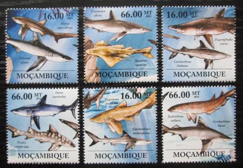 Poštovní známky Mosambik 2011 Žraloci Mi# 5337-42 Kat 23€