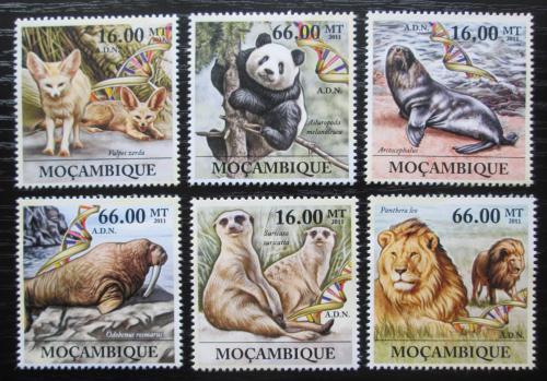 Poštovní známky Mosambik 2011 Ohrožená fauna Mi# 5330-35 Kat 23€