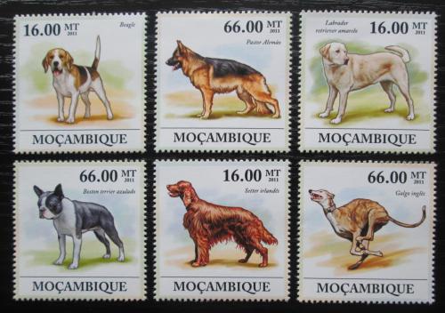 Poštovní známky Mosambik 2011 Psi Mi# 5351-56 Kat 23€
