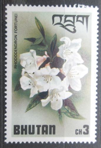 Poštovní známka Bhútán 1976 Pìnišník Fortuneùv Mi# 640