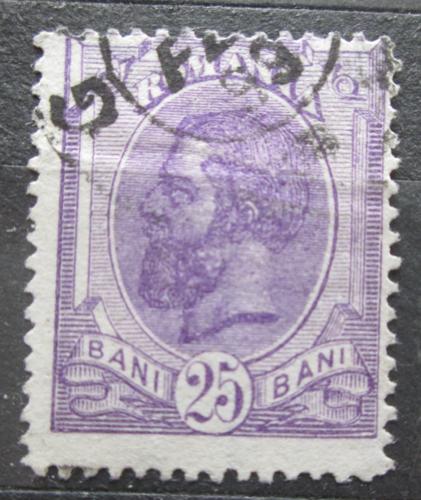 Poštovní známka Rumunsko 1893 Král Karel I. Mi# 105