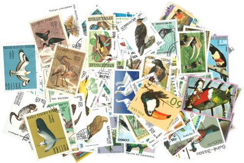 Sestava Ptáci - 250 rùzných razítkovaných známek
