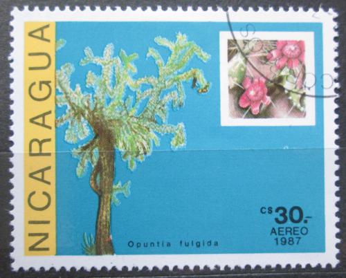Poštovní známka Nikaragua 1987 Kaktus, Opuntia fulgida Mi# 2805
