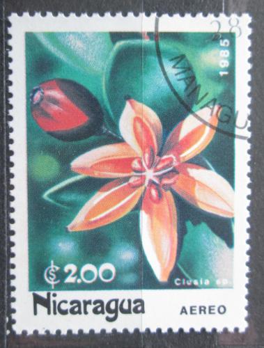 Potovn znmka Nikaragua 1985 Klusie Mi# 2589