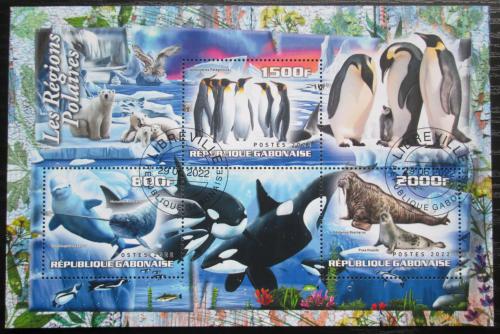 Poštovní známky Gabon 2022 Polární fauna Mi# N/N