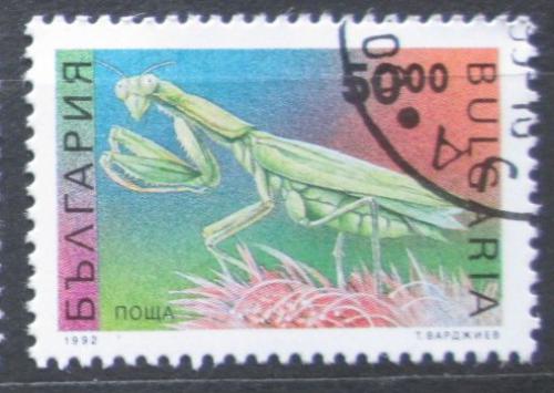 Poštovní známka Bulharsko 1992 Kudlanka nábožná Mi# 4017