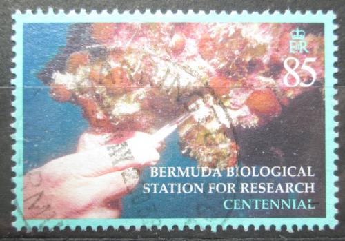 Poštovní známka Bermudy 2003 Výzkumná biologická stanice Mi# 851