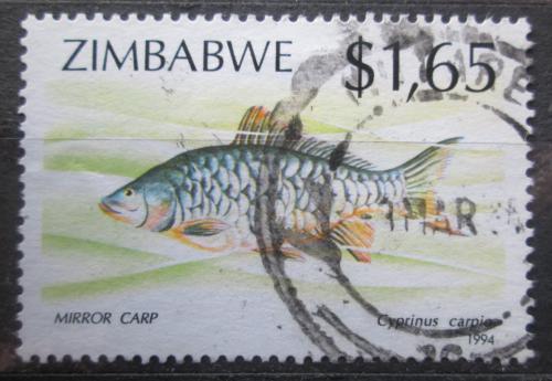 Poštovní známka Zimbabwe 1994 Kapr Mi# 518