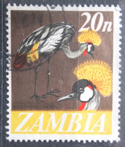 Potovn znmka Zambie 1968 Jeb pav Mi# 46 - zvtit obrzek