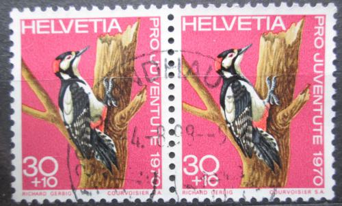 Poštovní známky Švýcarsko 1970 Strakapoud velký pár, Pro Juventute Mi# 938
