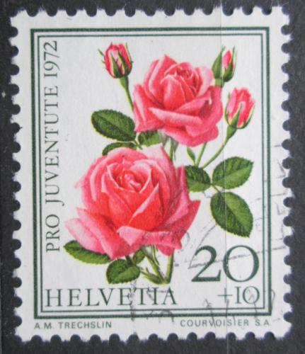 Poštovní známka Švýcarsko 1972 Rùže, Pro Juventute Mi# 985