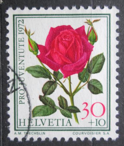 Poštovní známka Švýcarsko 1972 Rùže, Pro Juventute Mi# 986