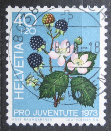 Poštovní známka Švýcarsko 1973 Ostružiny, Pro Juventute Mi# 1015