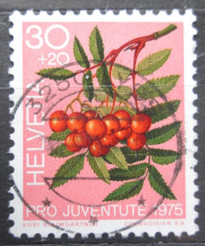 Poštovní známka Švýcarsko 1975 Jeøáb ptaèí, Pro Juventute Mi# 1064