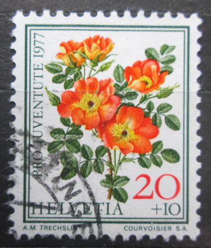 Poštovní známka Švýcarsko 1977 Rùže, Pro Juventute Mi# 1112