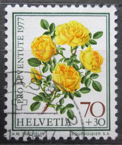 Poštovní známka Švýcarsko 1977 Rùže, Pro Juventute Mi# 1114