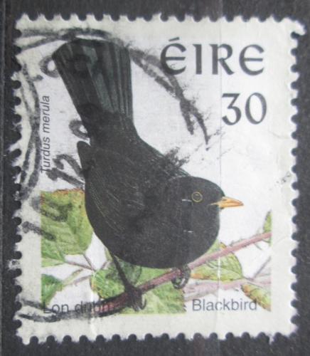 Poštovní známka Irsko 1998 Kos èerný Mi# 1051 I xA