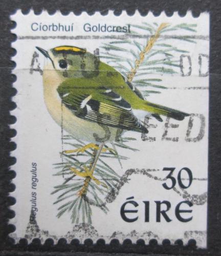 Poštovní známka Irsko 1998 Králíèek obecný Mi# 1100 II 