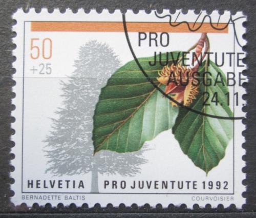 Poštovní známka Švýcarsko 1992 Buk lesní Mi# 1484