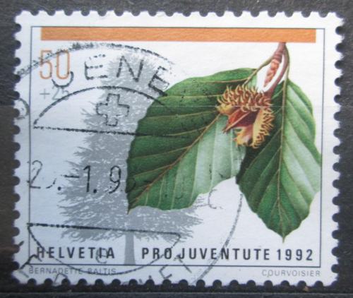 Poštovní známka Švýcarsko 1992 Buk lesní Mi# 1484