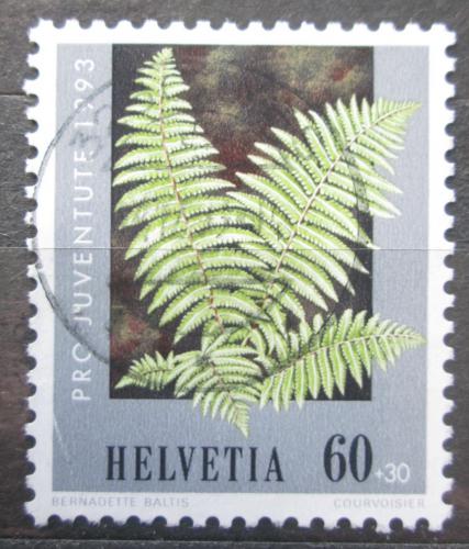 Poštovní známka Švýcarsko 1993 Kapraï samec Mi# 1513