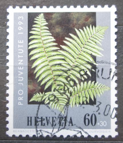 Poštovní známka Švýcarsko 1993 Kapraï samec Mi# 1513