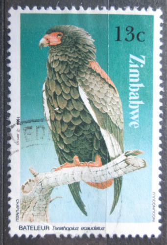 Poštovní známka Zimbabwe 1984 Orlík kejklíø Mi# 299