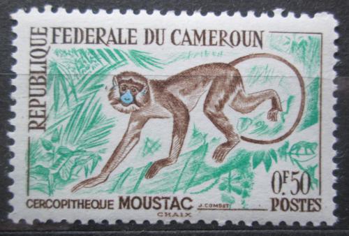 Poštovní známka Kamerun 1962 Koèkodan muido Mi# 355