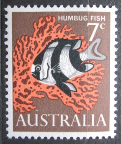 Poštovní známka Austrálie 1966 Dascyllus aruanus Mi# 364 I