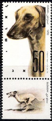 Poštovní známka Izrael 1987 Sloughi, psí plemeno Mi# 1065