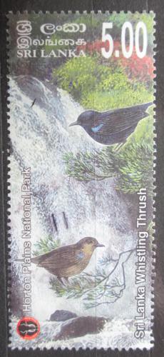Poštovní známka Srí Lanka 2010 Modravec srílanský Mi# 1800