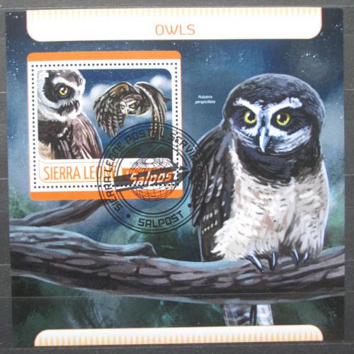 Poštovní známka Sierra Leone 2017 Sovy Mi# Block 1251 Kat 11€
