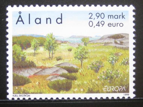 Poštovní známka Alandy 1999 Evropa CEPT, NP Idö, Kökar Mi# 157
