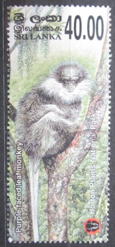 Poštovní známka Srí Lanka 2010 Hulman rudolící Mi# 1803