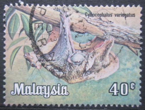 Poštovní známka Malajsie 1979 Letucha malajská Mi# 190