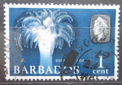 Poštovní známka Barbados 1965 Korál Mi# 235