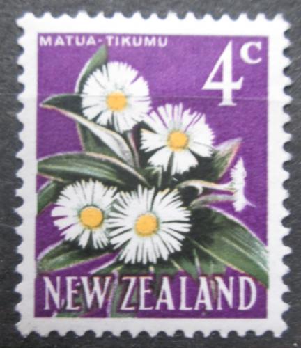 Poštovní známka Nový Zéland 1967 Celmisia coriacea Mi# 461