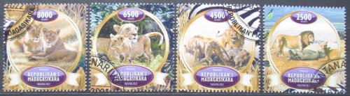 Poštovní známky Madagaskar 2022 Lvi Mi# N/N