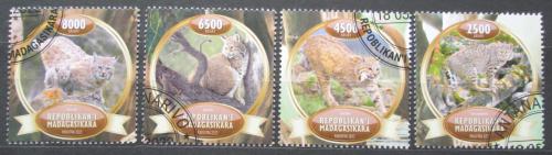 Poštovní známky Madagaskar 2022 Rysi Mi# N/N