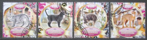 Poštovní známky Madagaskar 2022 Koèky Mi# N/N