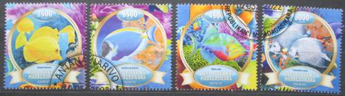 Poštovní známky Madagaskar 2022 Ryby Mi# N/N