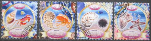 Poštovní známky Madagaskar 2022 Mušle Mi# N/N