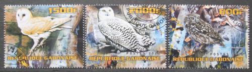 Poštovní známky Gabon 2022 Sovy Mi# N/N
