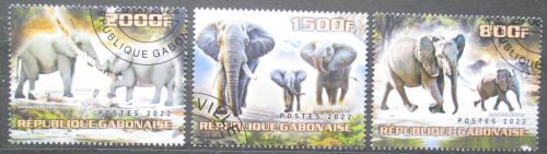 Poštovní známky Gabon 2022 Sloni Mi# N/N