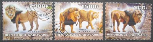 Poštovní známky Gabon 2022 Lvi Mi# N/N