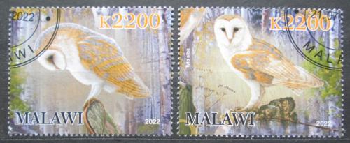 Poštovní známky Malawi 2022 Sovy Mi# N/N