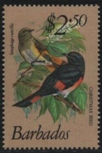 Poštovní známka Barbados 1979 Lesòáèek lejskovitý Mi# 479 Kat 7€