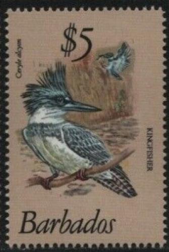 Poštovní známka Barbados 1979 Rybaøík pruhoprsý Mi# 480 Kat 10€