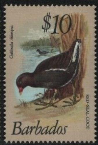 Poštovní známka Barbados 1979 Slípka zelenonohá Mi# 481 Kat 20€ 